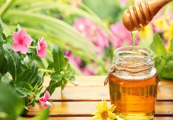 خواص عسل چهل گیاه طبیعی | کارنیکااستور