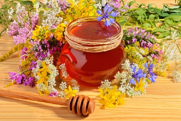 عسل گون طبیعی | عسل آویشن طبیعی | عسل کنار طبیعی | عسل چهل گیاه طبیعی | کارنیکااستور