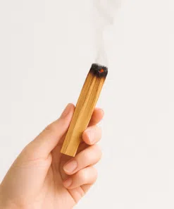 چوب پالو سانتو اکوادر اصل