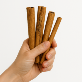 چوب دارچین سیلان اصل سریلانکا کارنیکااستور