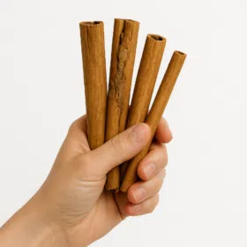 چوب دارچین سیلان اصل سریلانکا کارنیکااستور