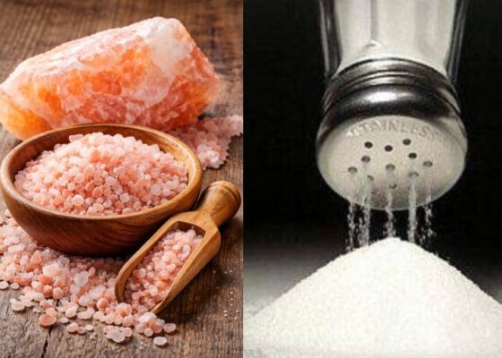 دل نمک چیست و چه تفاوتی با نمکهای فرآوریشده دارد؟ کارنیکا استور