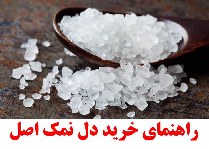 راهنمای خرید دل نمک اصل و نکات نگهداری آن در خانه کارنیکااستور