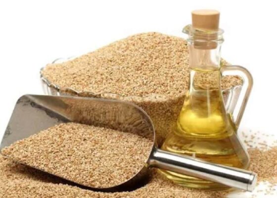 روغن کنجد در پخت‌وپز حرفه‌ای کارنیکااستور